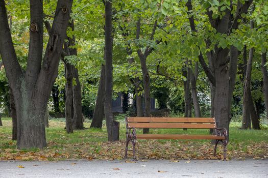 Empty lonely bench in autumn park