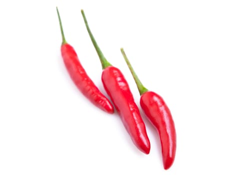 Red Chili Peppers placed on white bacground