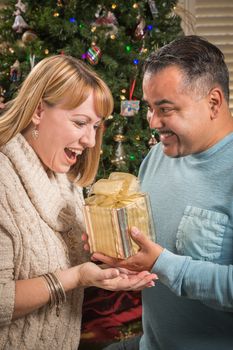 Happy Young Mixed Race Couple with Present Near Christmas Tree.