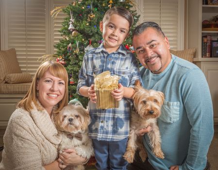 Happy Young Mixed Race Family and Puppies In Front of Christmas Tree.