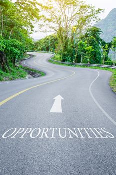 Opportunities written on S curve road in the green view.