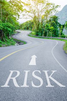 Red Risk written on S curve road in the green view.