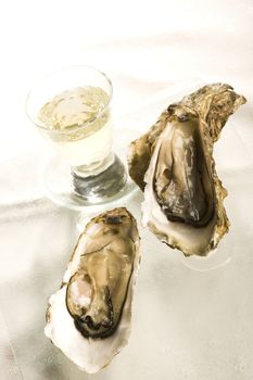 Raw oysters with ice on a white background, France