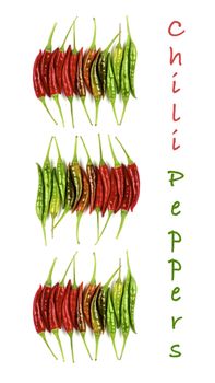 Collection of Three Heaps of Fresh Shiny Red, Orange and Green Chili Peppers with Vertical Inscription isolated on White background
