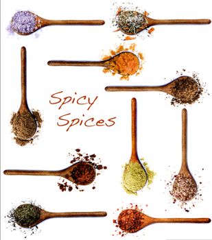 Collection of Various Spices with Inscription in Wooden Spoons: Dried Paprika, Curry Powder, Salt with Cayenne Pepper, Zira, Coriander, Thyme, Salt with Chili, Kosher Salt,  Cumin Powder and Salt with Petals