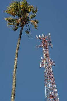 Palmtree and comunication antenna on El Salvador