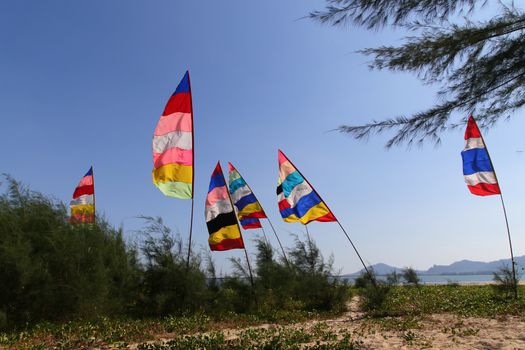 Colorful Flag on wind at the beach with pine tree