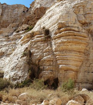 Scenic cliffs of Ein Avdat (Ein Ovdat) gorge in Israel