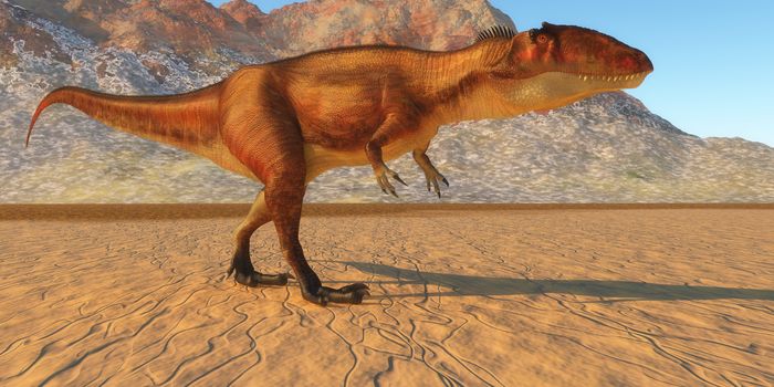 Carcharodontosaurus was a carnivorous theropod dinosaur that lived in the Sahara region of Africa in the Cretaceous Period.
