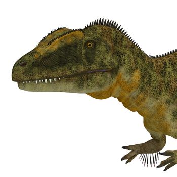 Concavenator was a carnivorous theropod dinosaur that lived in Spain in the Cretaceous Period.