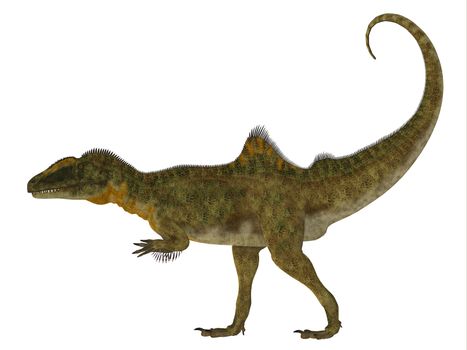 Concavenator was a carnivorous theropod dinosaur that lived in Spain in the Cretaceous Period.