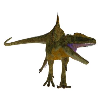 Concavenator was a carnivorous theropod dinosaur that lived in Spain in the Cretaceous Period.