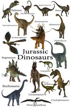 This is a collection of various dinosaurs including carnivores, herbivores and flying reptiles that lived in the Jurassic Period.