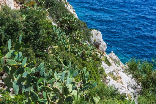 Sea waves and rocks on the steep west coast of Mallorca.