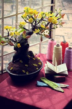 Study space at home near window in springtime with apricot blossom pot and book on desk, nice artificial flower to decor