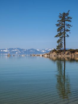 Scenic view of beautiful Lake Tahoe in Spring, landscape of the United States of America, clear water, nice sky, stone island, tree, fresh air and snow mountains