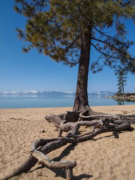 Scenic view of beautiful Lake Tahoe in Spring, landscape of the United States of America, clear water, nice sky, stone island, tree, fresh air and snow mountains