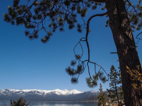 Scenic view of beautiful Lake Tahoe in Spring, landscape of the United States of America, clear water, nice sky, stone island, tree, fresh air and snow mountains