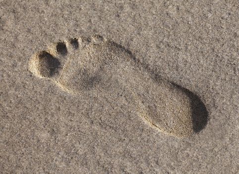 Footprint in the wet sand, view from above