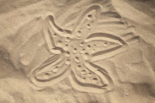 Starfish drawn in the sand in a sunny summer day