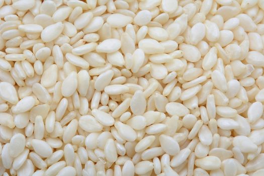 Closeup of white sesame seeds use for background