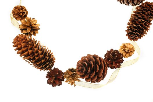 frame of pine cones and a place for text.