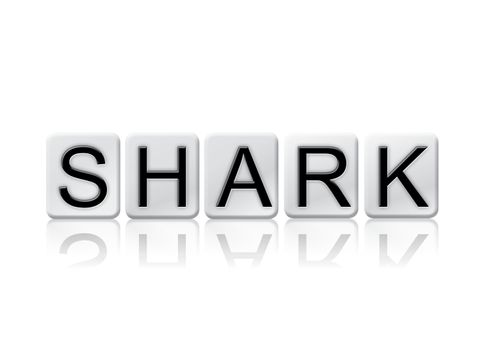 The word "Shark" written in tile letters isolated on a white background.