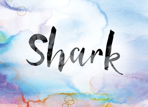 The word "Shark" painted in black ink over a colorful watercolor washed background concept and theme.