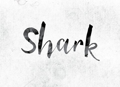 The word "Shark" concept and theme painted in watercolor ink on a white paper.