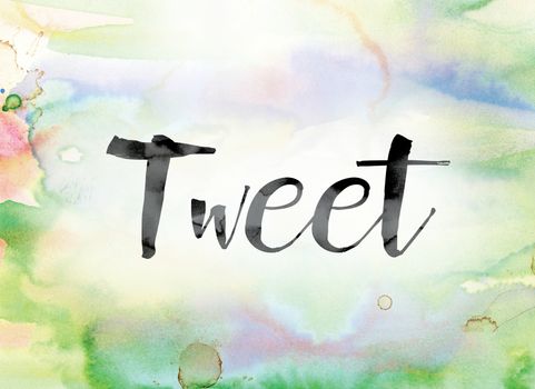 The word "Tweet" painted in black ink over a colorful watercolor washed background concept and theme.