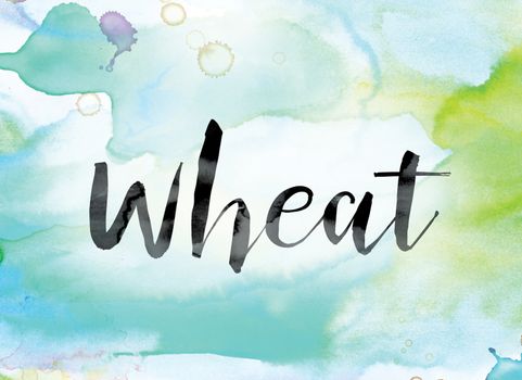 The word "Wheat" painted in black ink over a colorful watercolor washed background concept and theme.