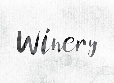 The word "Winery" concept and theme painted in watercolor ink on a white paper.