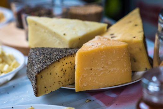 a pieces of hard cheeses on a plate at the exhibition