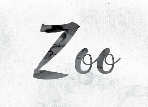 The word "Zoo" concept and theme painted in watercolor ink on a white paper.