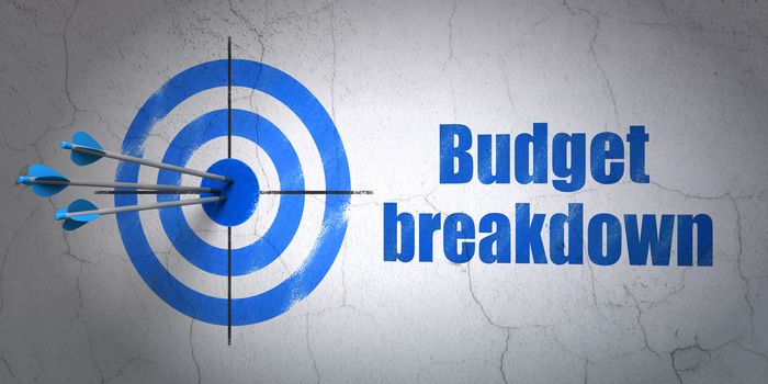 Success business concept: arrows hitting the center of target, Blue Budget Breakdown on wall background, 3D rendering