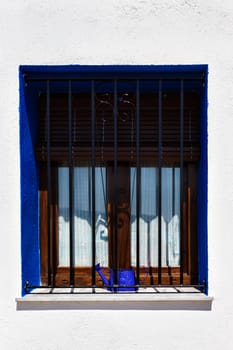 Window bars with a blue watering can. Vertical image.