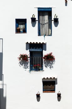 Windows decorated with flowers on the wall of a white facade. Vertical image.