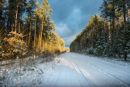 Empty snow covered road in winter forest, landscape with sun light 