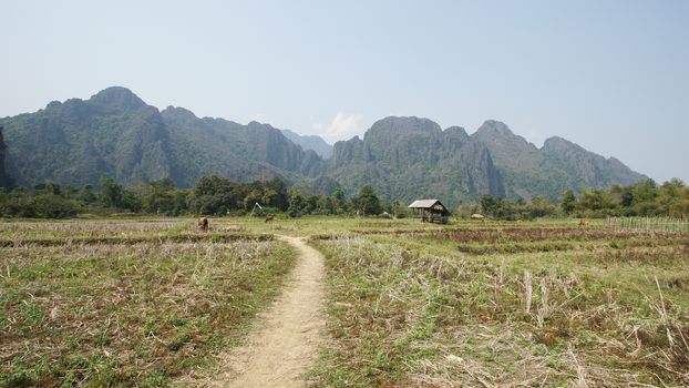 Landscape around Vang Vieng, Laos, Asia