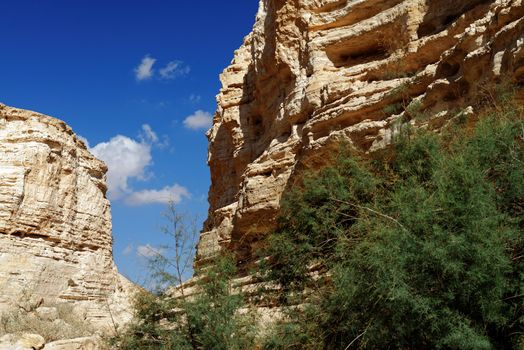 Scenic cliffs of Ein Avdat (Ein Ovdat) gorge in Israel