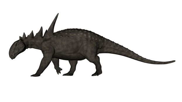 Sauropelta dinosaur walking isolated in white background - 3D render