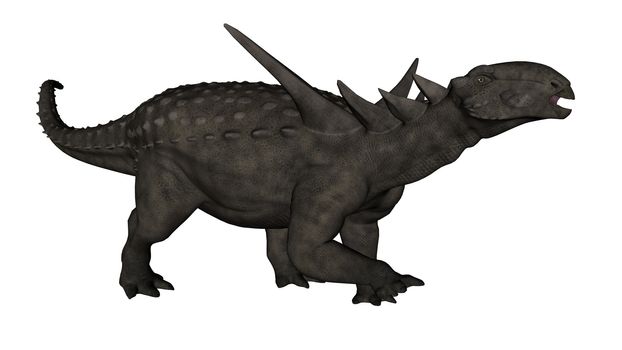 Sauropelta dinosaur walking isolated in white background - 3D render