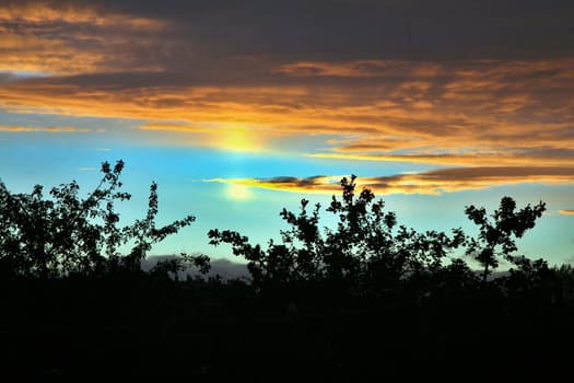 sky in sunset cloud colorful beautiful with silhouette trees in evening