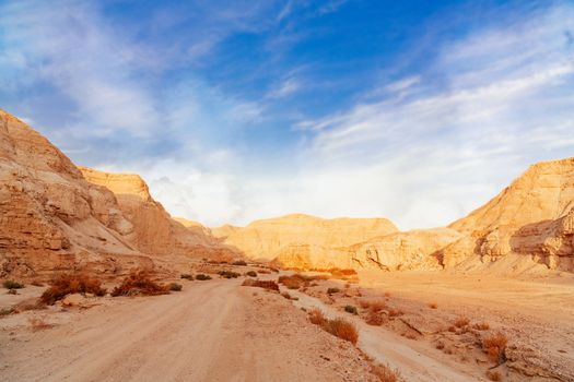 the landscape of Negev desert in Israel
