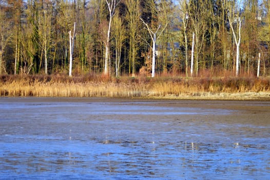 Autumn colors with trees overlooking a lake