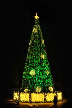 Green Christmas tree at night winter Park