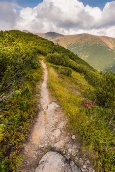 Hiking Trail on the Hill in the Mountains