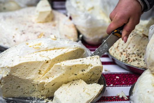 pieces of delicious white cheese with spices