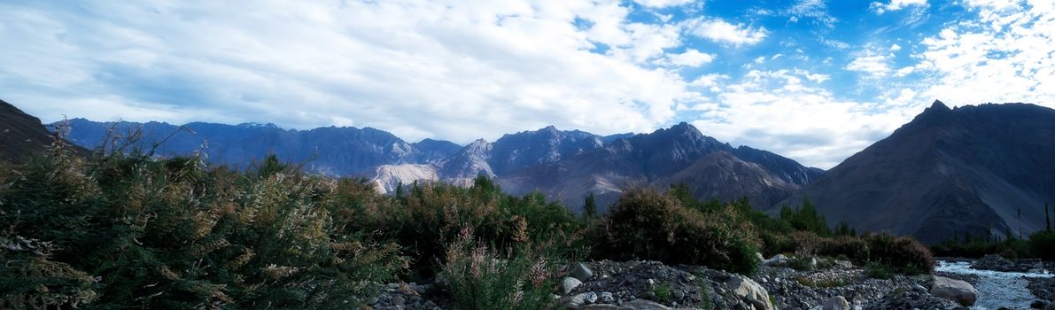 Natural landscape in Nubra valley, Leh Ladakh, Jammu and Kashmir, India