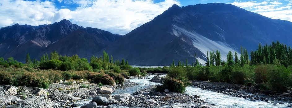 Natural landscape in Nubra valley, Leh Ladakh, Jammu and Kashmir, India